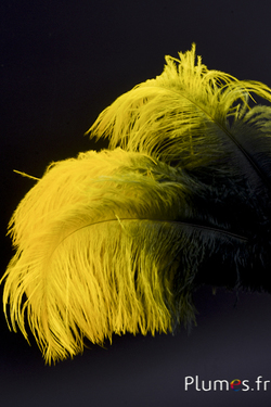 Autruche - 30-40 cm - vert sapin-jaune